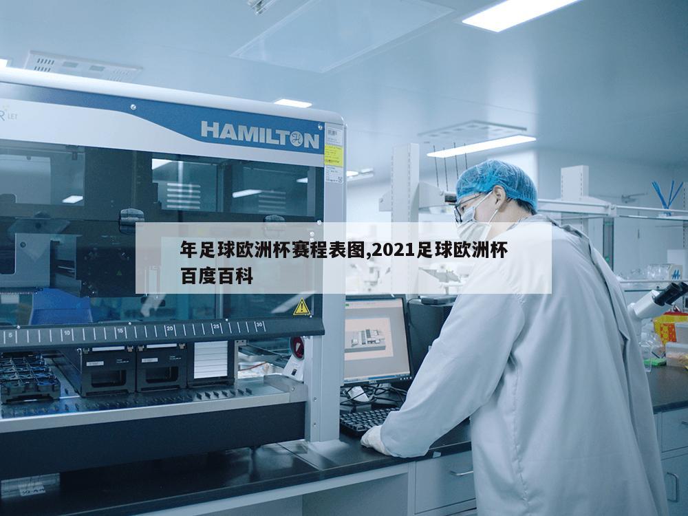 年足球欧洲杯赛程表图,2021足球欧洲杯百度百科