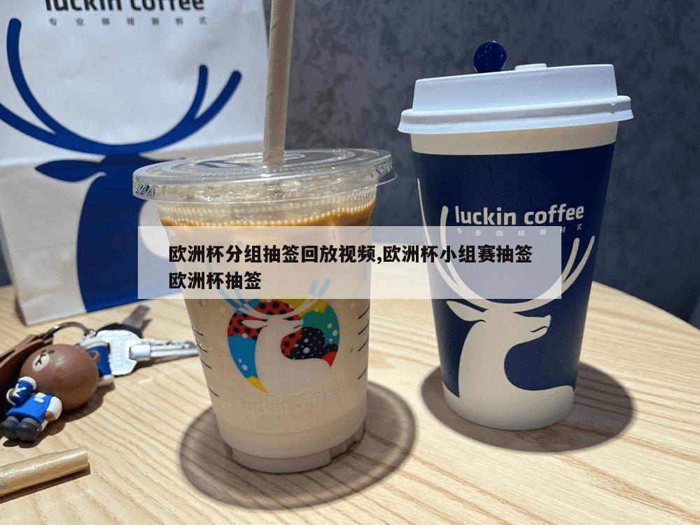 欧洲杯分组抽签回放视频,欧洲杯小组赛抽签欧洲杯抽签