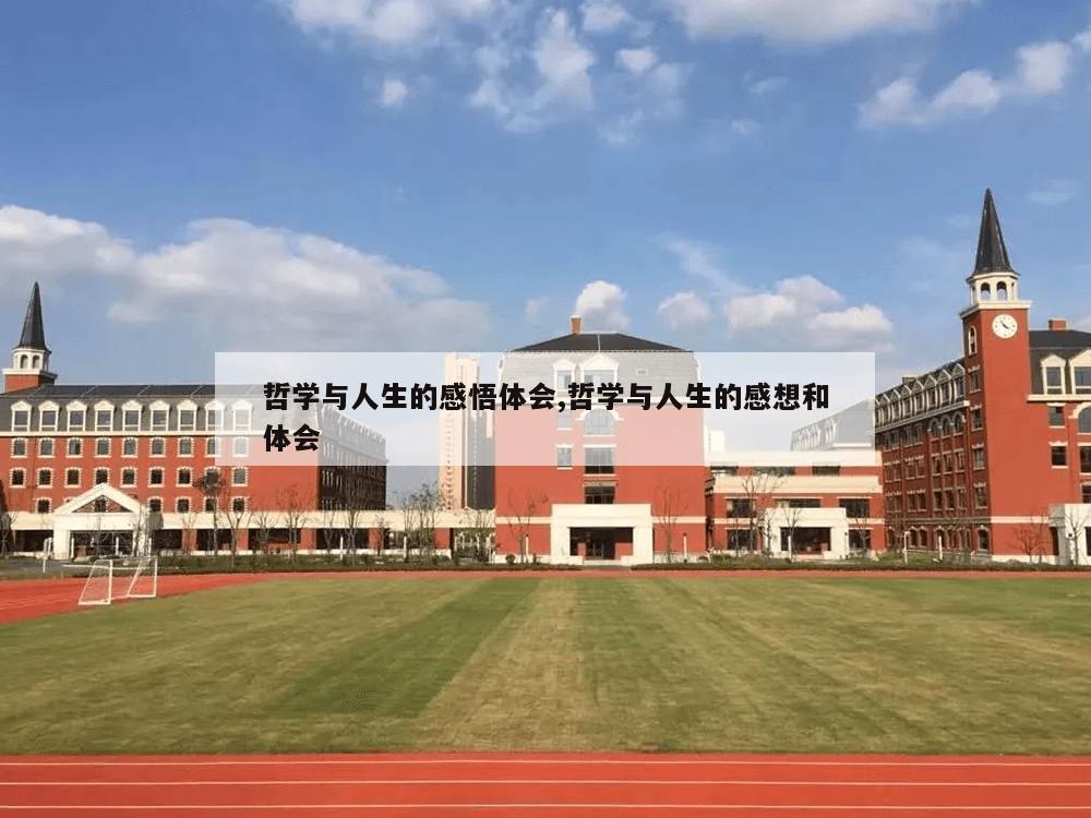 哲学与人生的感悟体会,哲学与人生的感想和体会