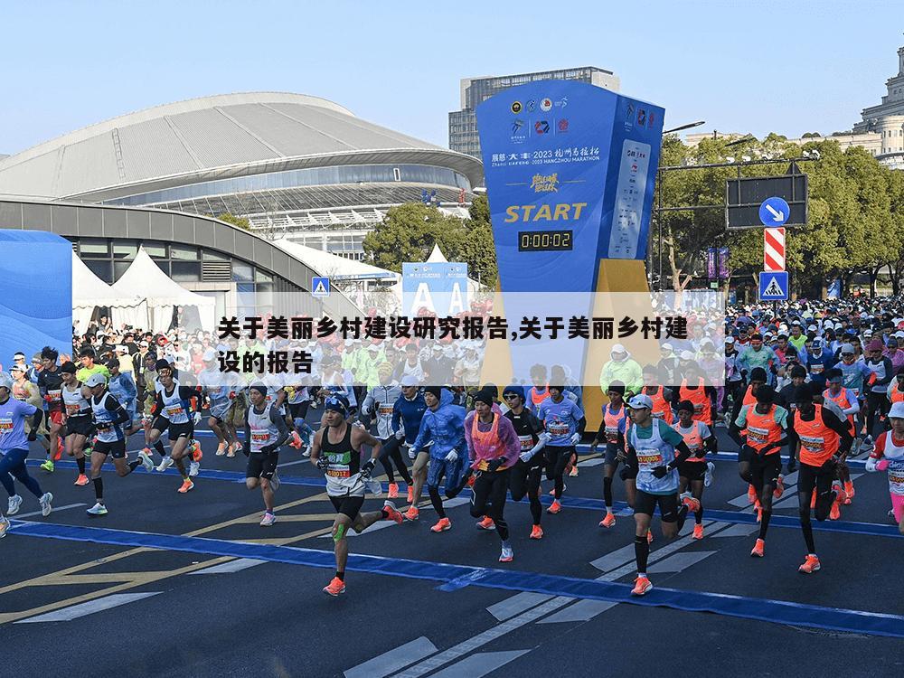 关于美丽乡村建设研究报告,关于美丽乡村建设的报告