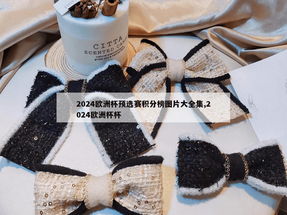 2024欧洲杯预选赛积分榜图片大全集,2024欧洲杯杯