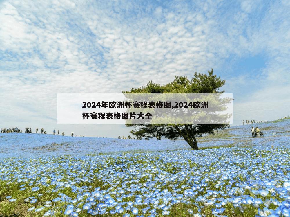 2024年欧洲杯赛程表格图,2024欧洲杯赛程表格图片大全