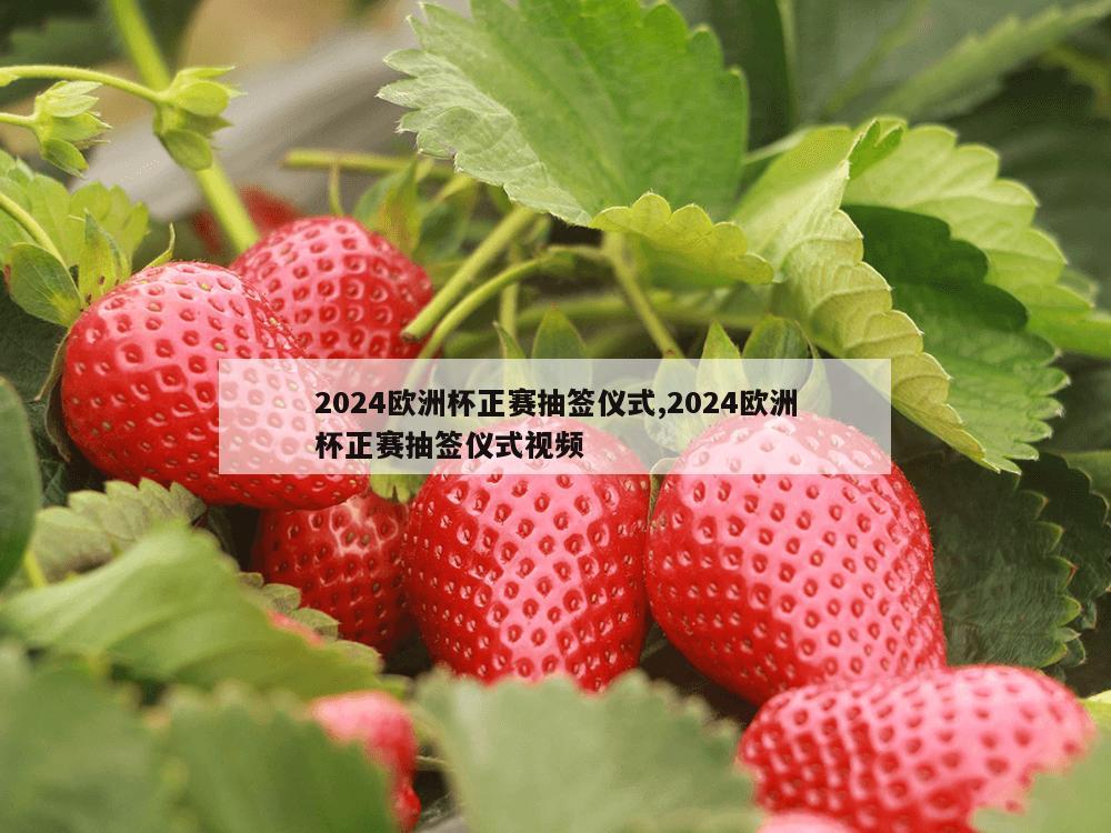 2024欧洲杯正赛抽签仪式,2024欧洲杯正赛抽签仪式视频