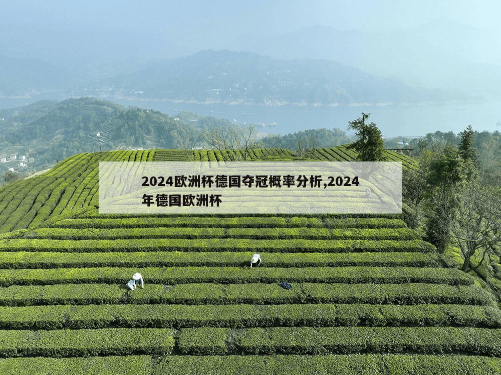 2024欧洲杯德国夺冠概率分析,2024年德国欧洲杯