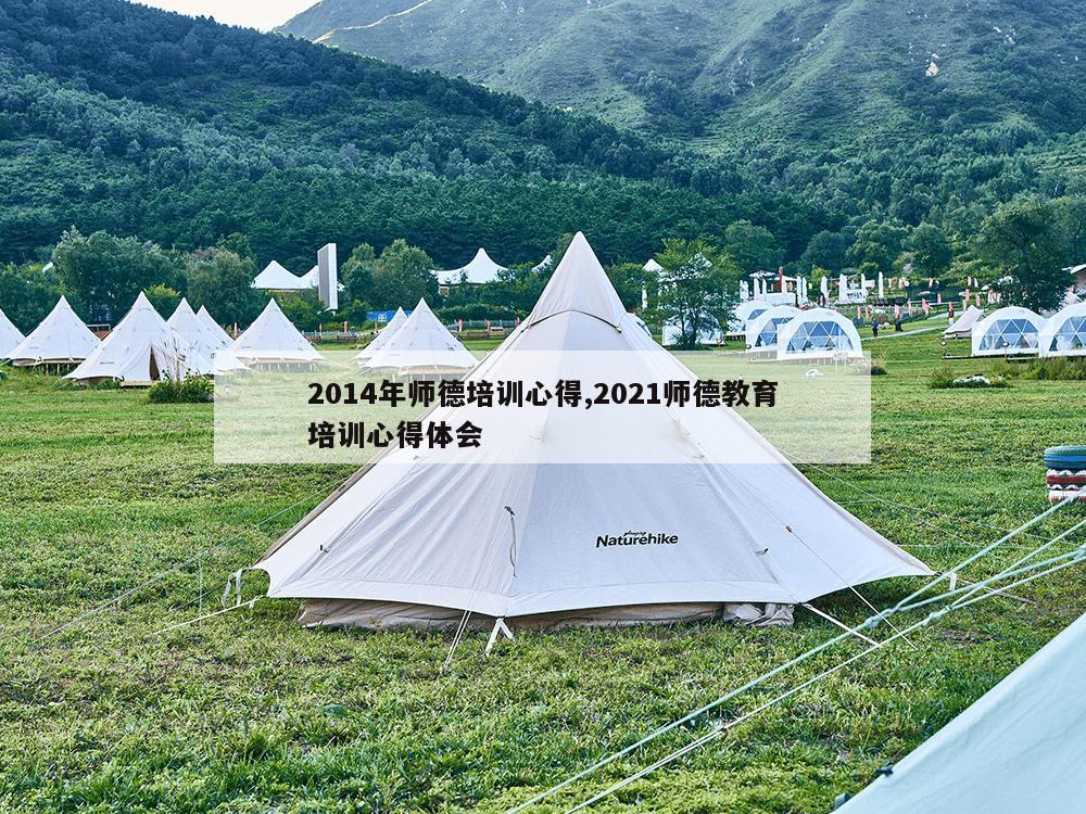 2014年师德培训心得,2021师德教育培训心得体会