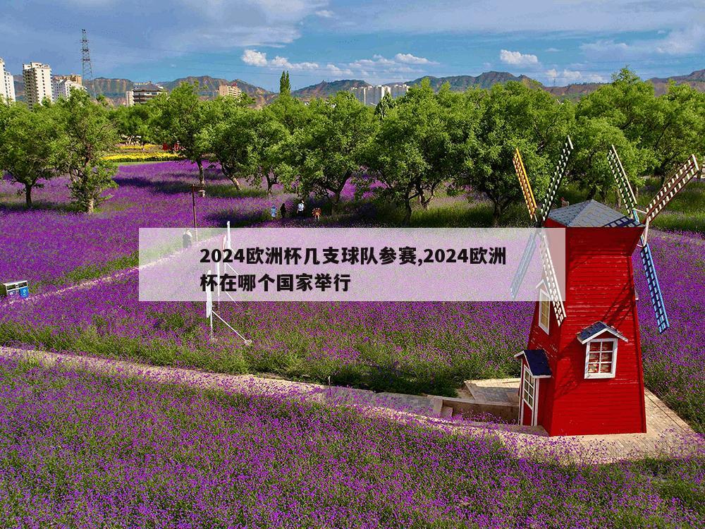 2024欧洲杯几支球队参赛,2024欧洲杯在哪个国家举行