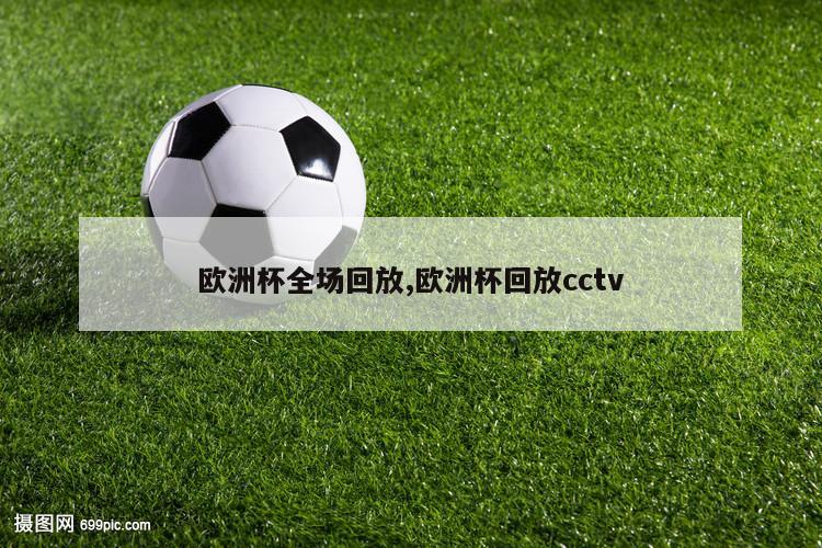 欧洲杯全场回放,欧洲杯回放cctv