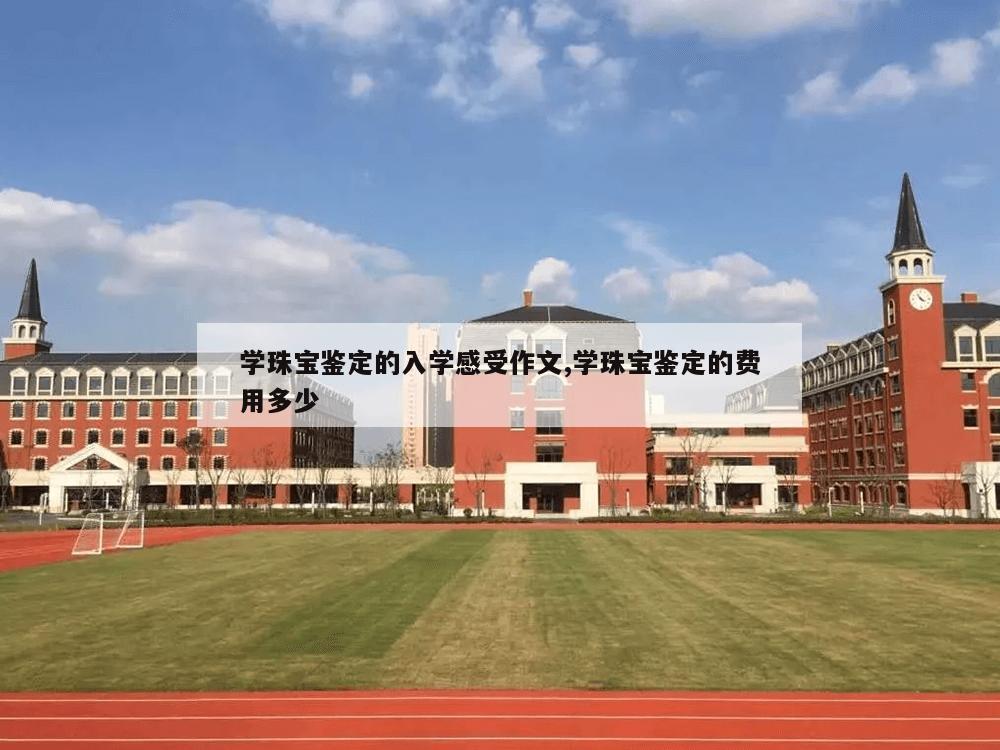 学珠宝鉴定的入学感受作文,学珠宝鉴定的费用多少